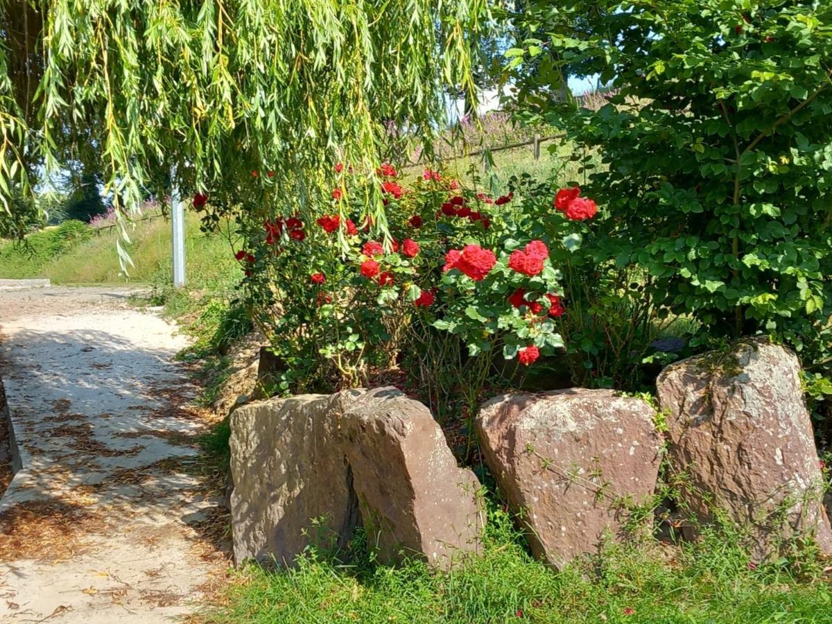 A La Memoire De Merlin & Spa Saint-Malon-sur-Mel Exterior foto